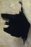 Dead crow