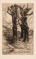 Two chestnut trees