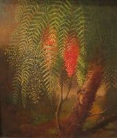 California Pepper Tree