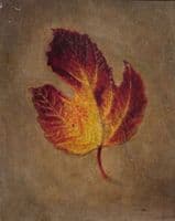 Maple Leaf