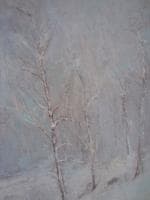Birches in Snow