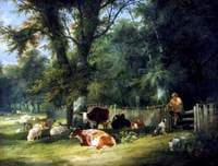 A Shady Corner