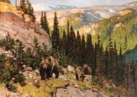 Out of the Canyon