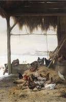Chickens in a Barn in Winter