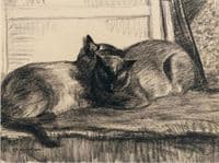 Two Cats Sleeping in the Studio