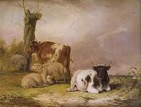 Cows and Sheep (panel 1of 2)