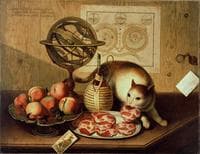 Still Life with Cat