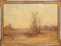 Desolate Pond