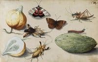 Butterflies, mole crickets, grasshopper and caterpillar with gourd and figs