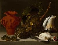 Still life with dead bird