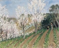 The Orchard