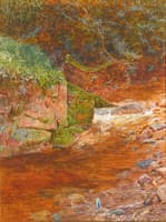 The kingfisher's haunt