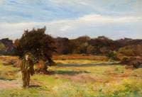 The Last of the Autumn Tints
