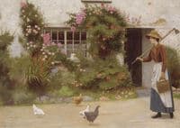 Runaway Chickens