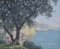 Small Boat by River