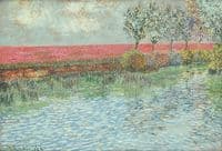 Poppy Field