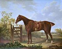 'Regent', a Favourite Horse of Sir Thomas Stanley of Hooton, Cheshire