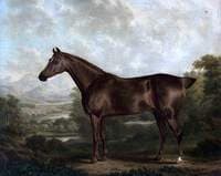 A Chestnut Horse in a Landscape
