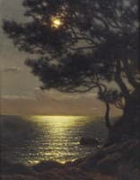 Moonlit Coast