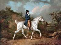 A Gentleman on a Grey Mare