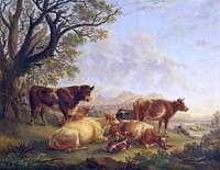 Bull and Cattle and Herdsman Resting in Valley Pasture