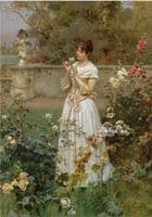 The Rose of All Roses