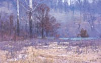 The Quiet Forest