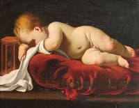 Sleeping Baby