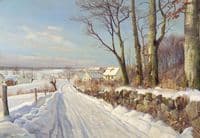 Snow Landscape