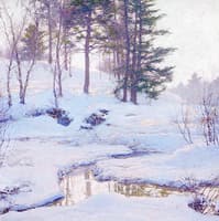Winter Reflections