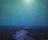 Nocturnal Marsh Scene