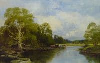 Summer River Landscape