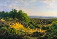 The Evening Sun: View on Ewhurst Hill, near Guildford