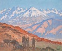 The Belladonne Range