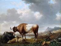 Cattle and Sheep