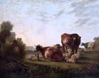 Cattle and Sheep in a Pasture
