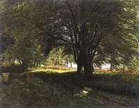 A Young Boy Resting in a Wooded Glade