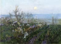 Moonlight across the Bay