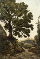 A Large Tree - Path in the Countryside