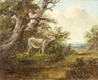 A Donkey in a Wood