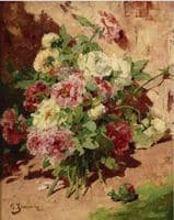 Pink and White Peonies