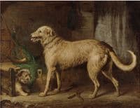 The Huntinh Hound