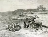 A Shepherd and his Flock