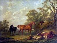 Chestnut and Black Racehorses with Cattle in a Field