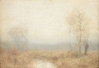 Gray Sunrise