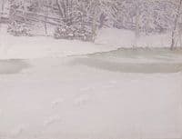 New Snow