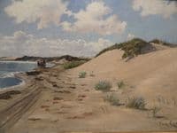 Mail coach driving along the beach at Skagen