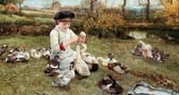 Feeding the Ducks
