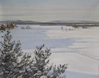 Winter Landscape