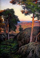 Evening Sun